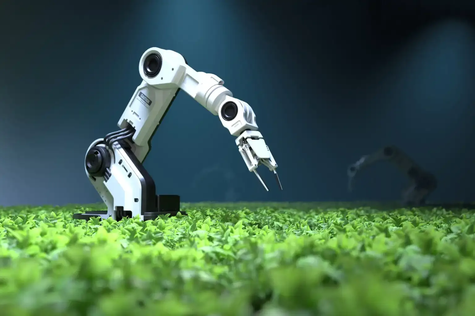 How AI is Transforming Industries: Latest Developments